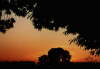 Abendstimmung, En Janel